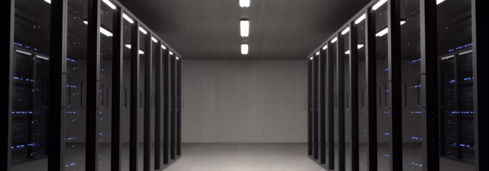 Database Management